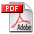 Adobe-Reader-Icon Version 6
